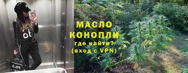 дживик Верхний Тагил