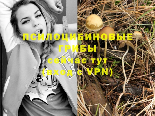 mdpv Верея