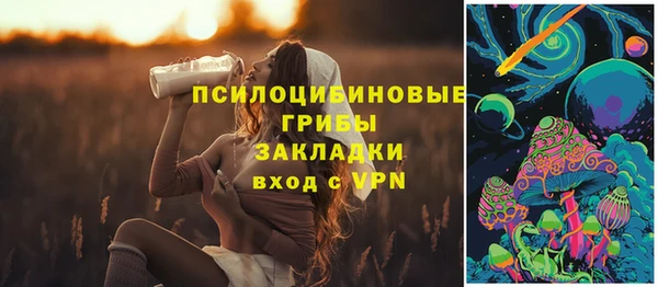 дживик Верхний Тагил