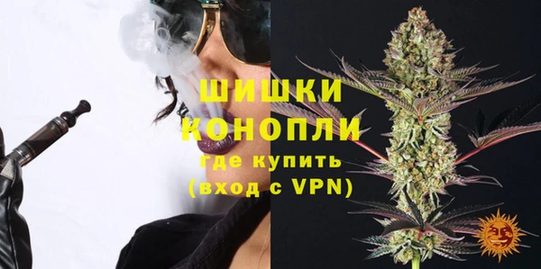 дживик Верхний Тагил