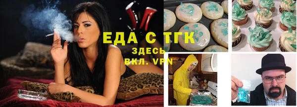 дживик Верхний Тагил