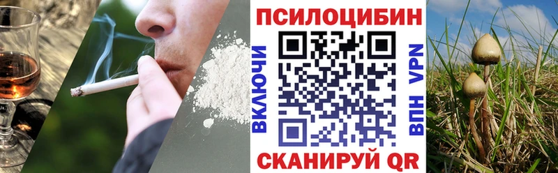 Купить  Белоусово  Галлюциногенные грибы Magic Shrooms 